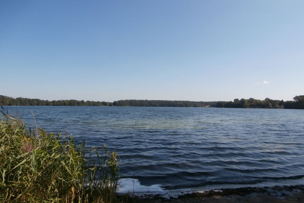 54637 - Niet-getagd