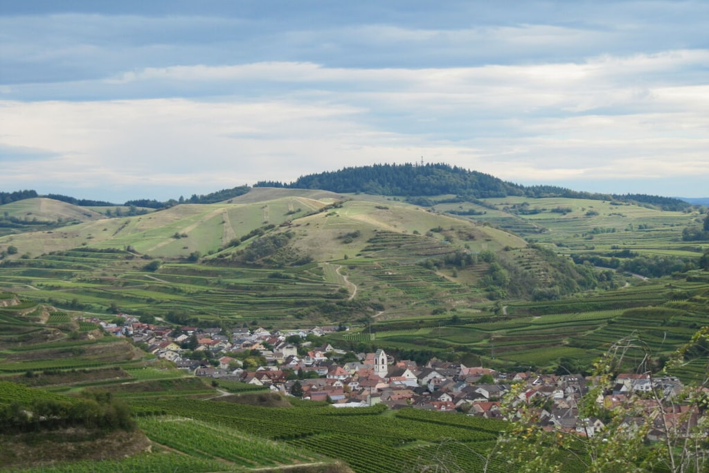 374401 - Nicht zugeordnet