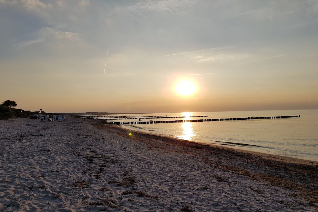 262494 - Niet-getagd