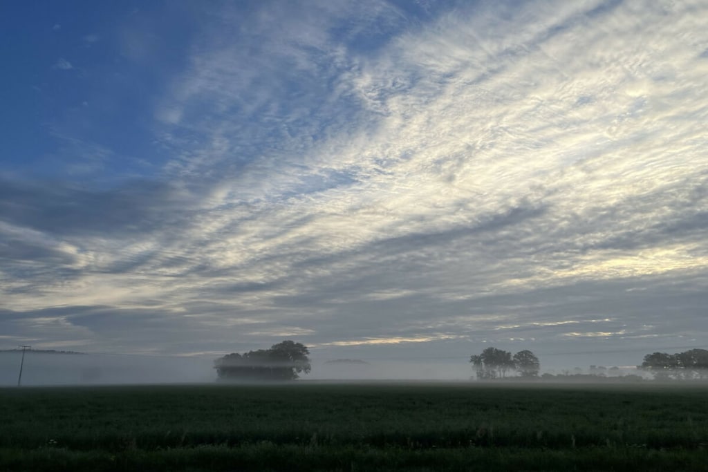 487385 - Niet-getagd