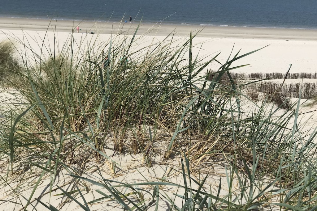 262059 - Niet-getagd