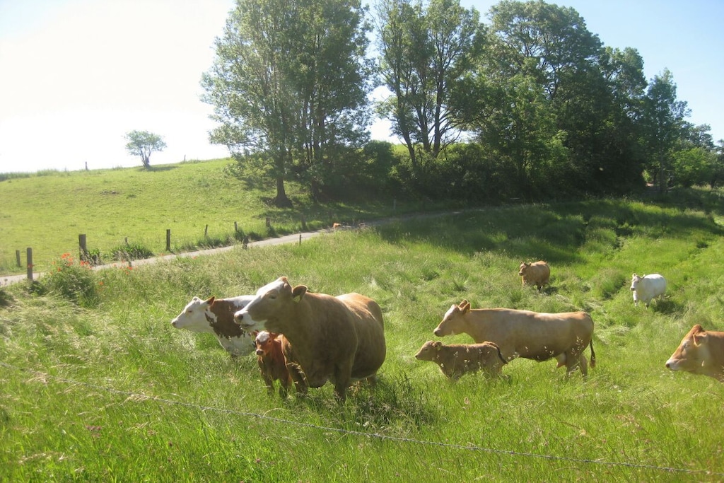 57823 - Niet-getagd