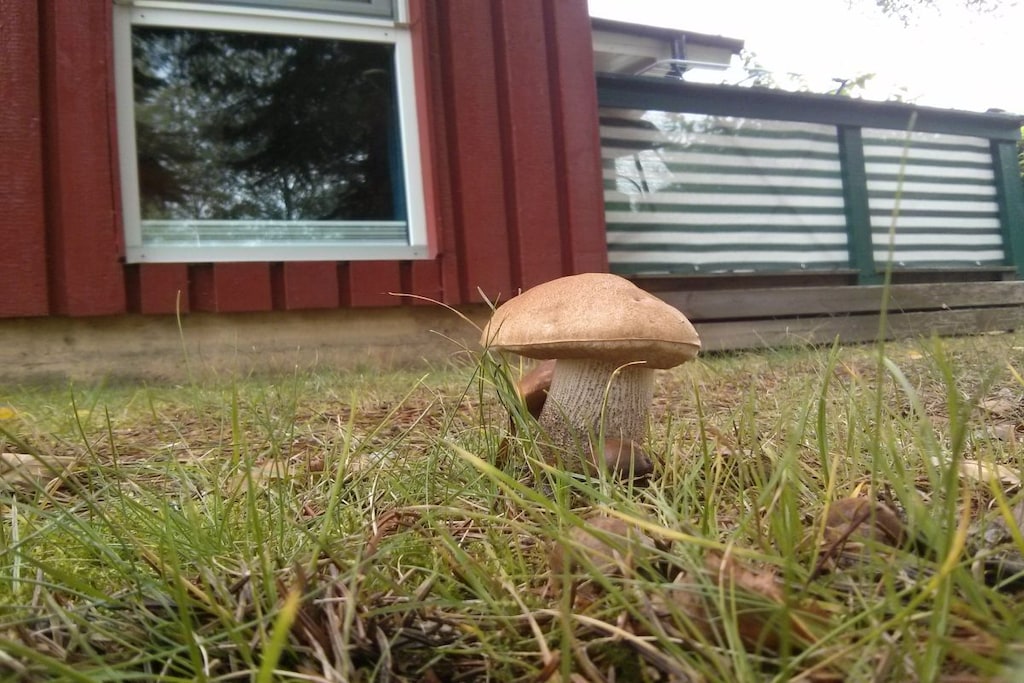 224422