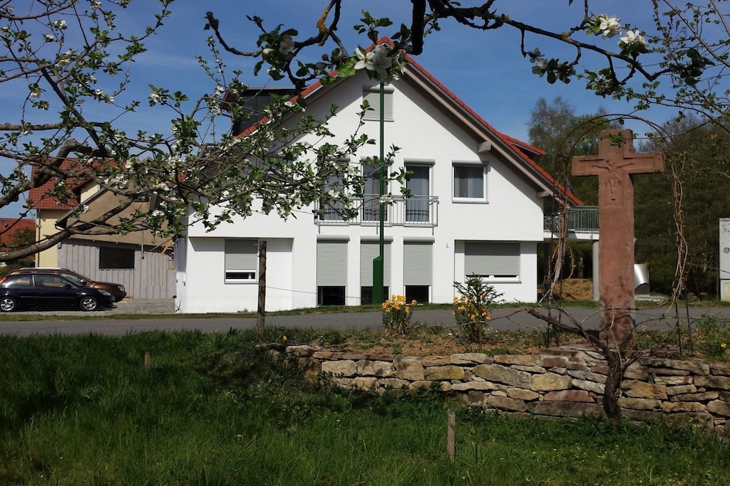 263491
