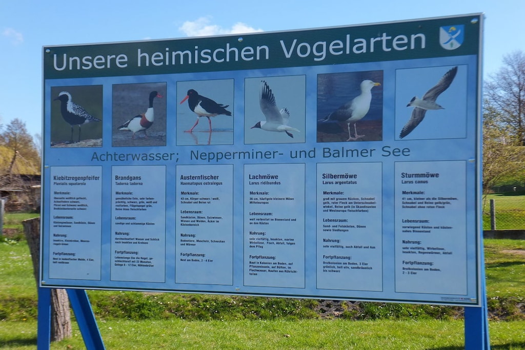 58657 - Niet-getagd