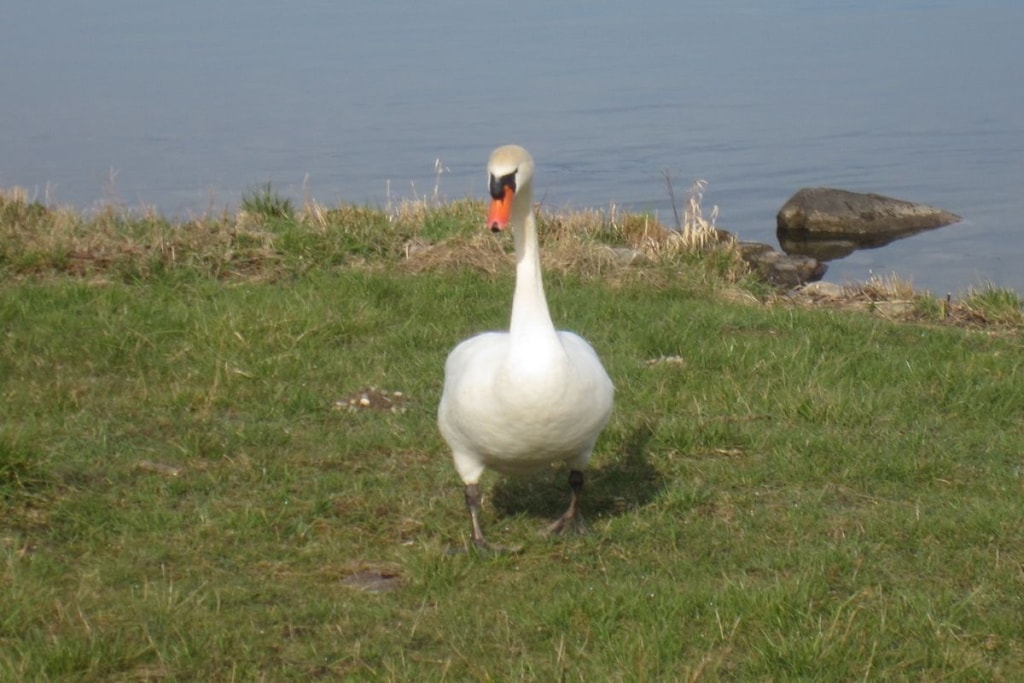 227961 - Niet-getagd
