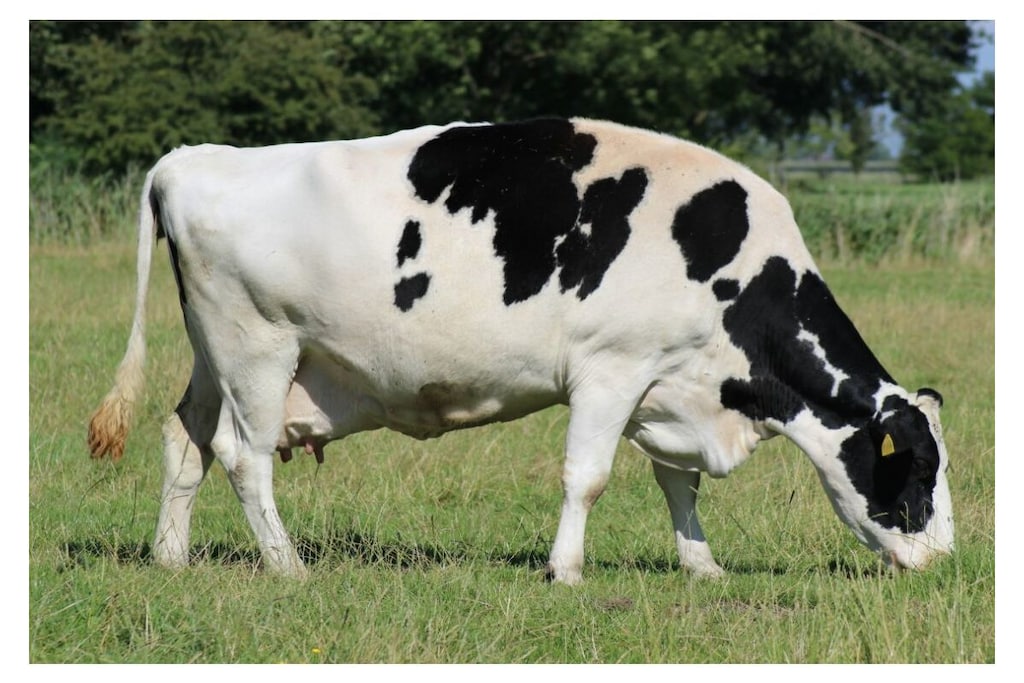 11328 - Nicht zugeordnet