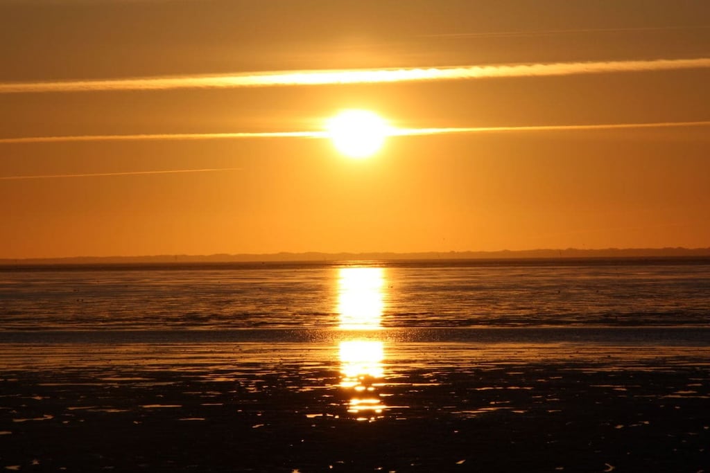 163550 - Niet-getagd