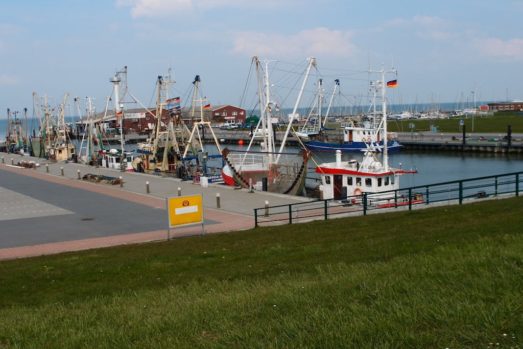 163550 - Niet-getagd