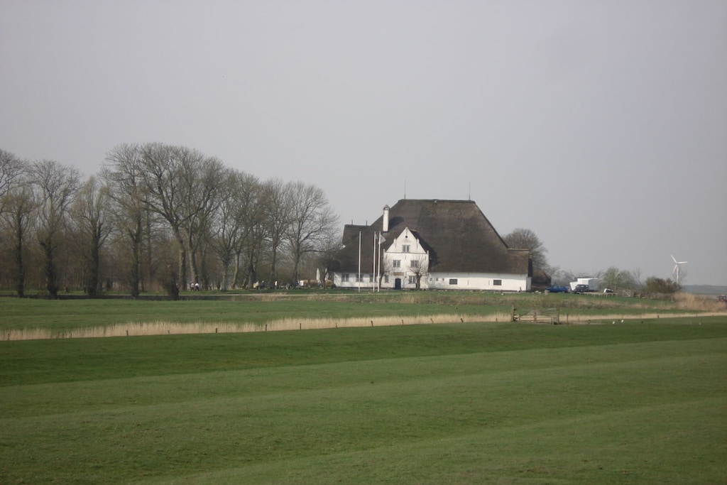 51144 - Niet-getagd