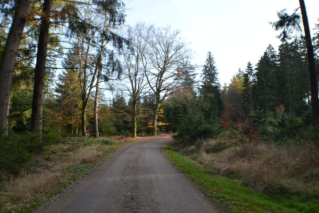 410824 - Niet-getagd