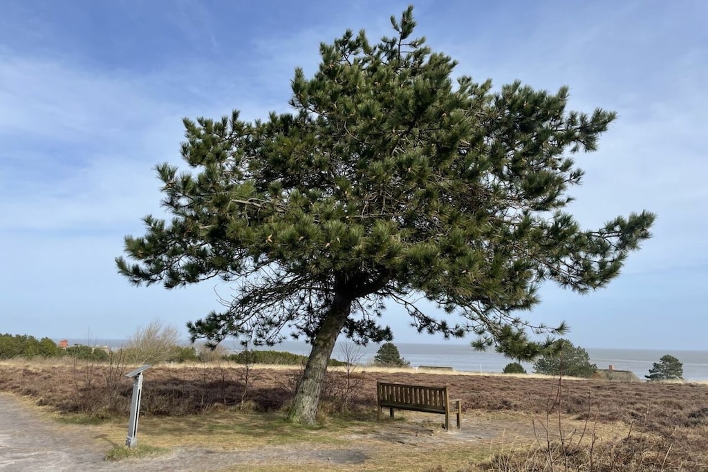 60662 - Niet-getagd