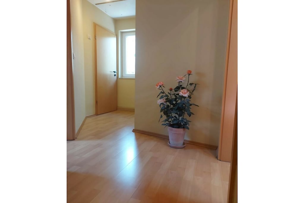 484345 - Non tagué