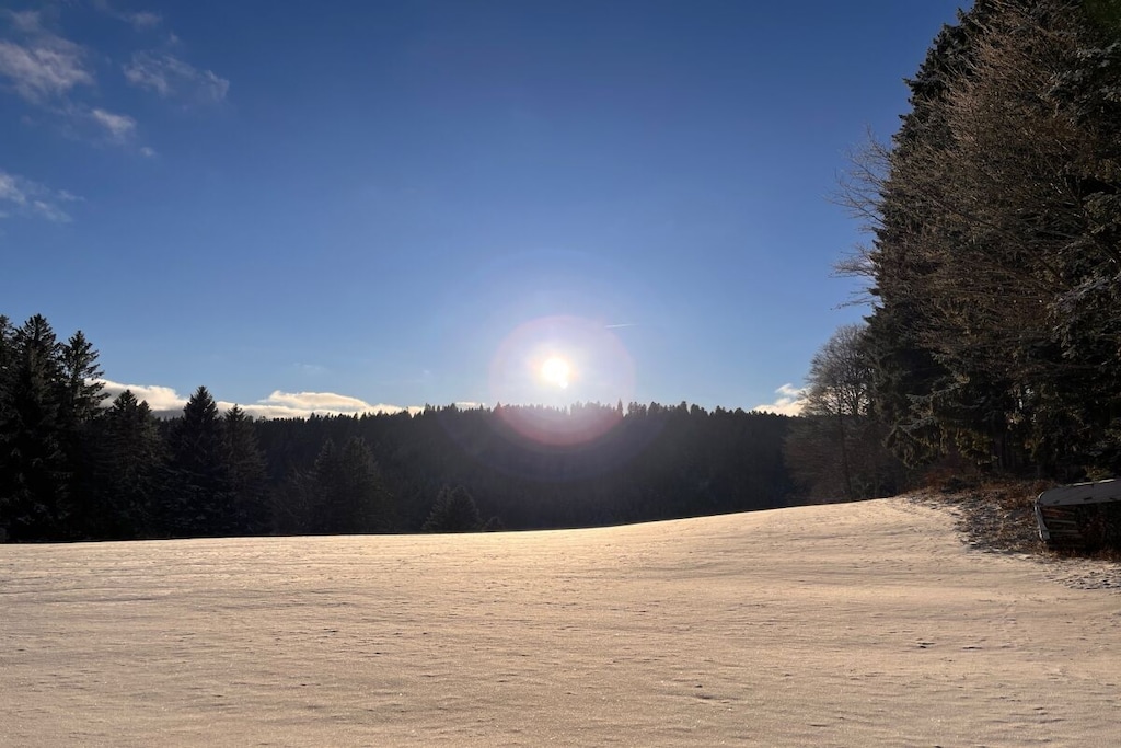 790047 - Nicht zugeordnet