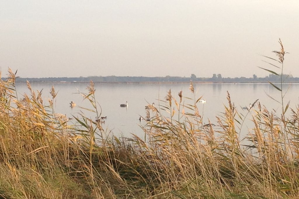 58547 - Niet-getagd