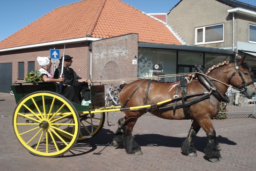 107811 - Niet-getagd