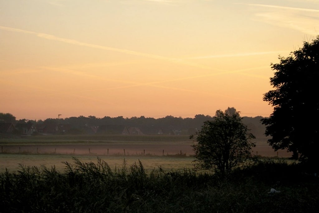 107182 - Niet-getagd