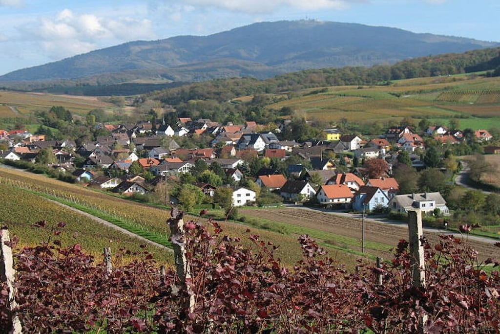 13645 - Nicht zugeordnet