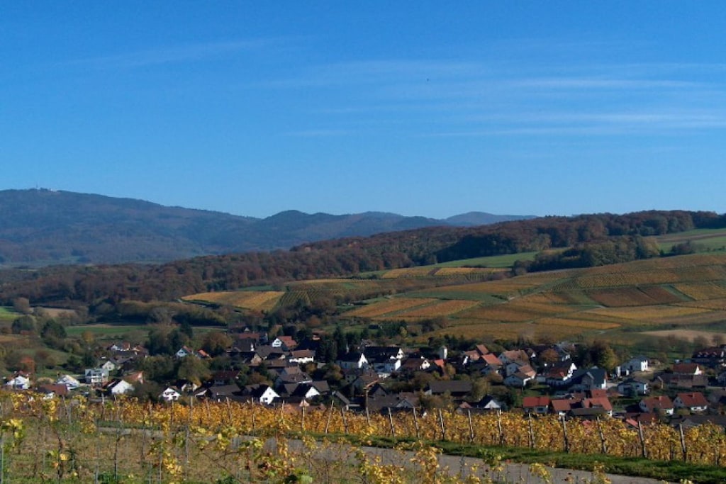 13645 - Nicht zugeordnet