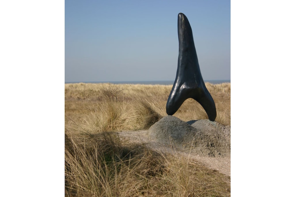 220258 - Niet-getagd