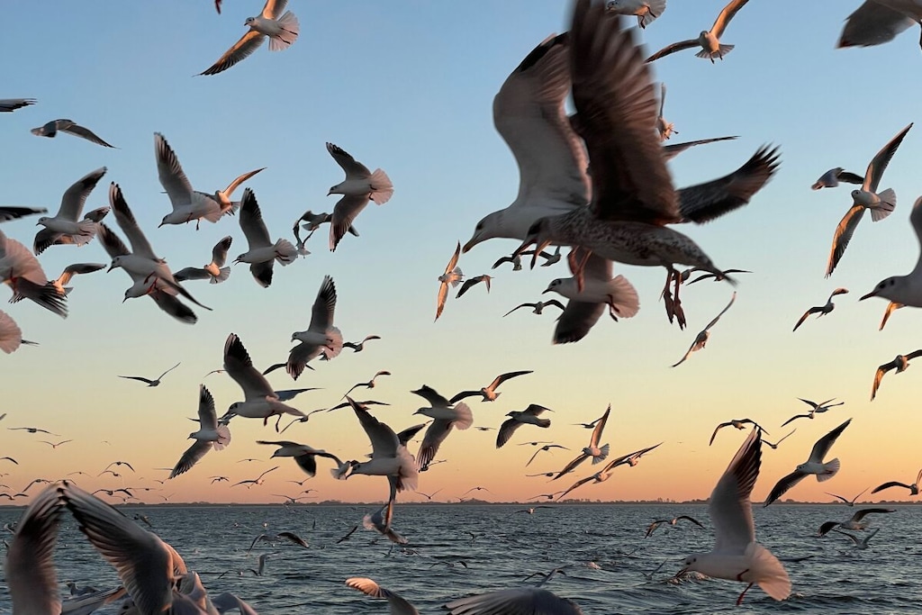 Untagged