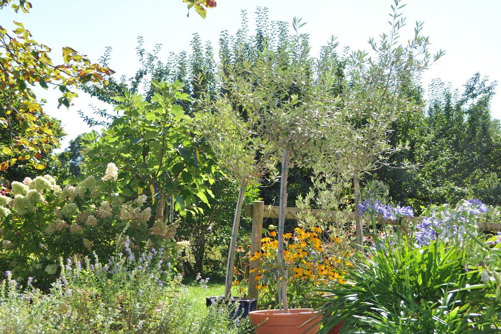 189496