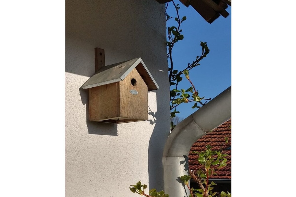 293671 - Niet-getagd