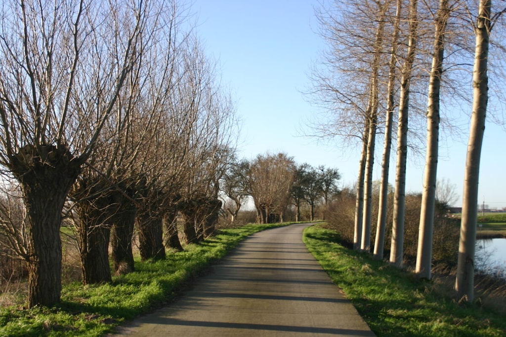 540747 - Niet-getagd