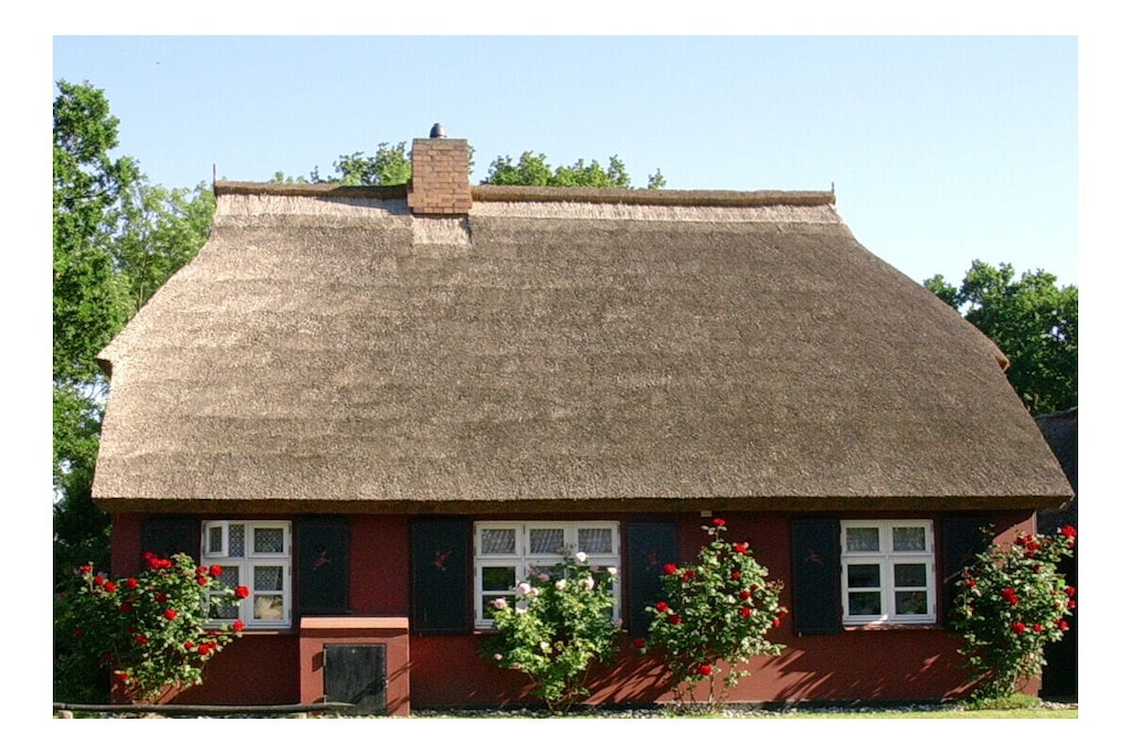 31319 - Niet-getagd