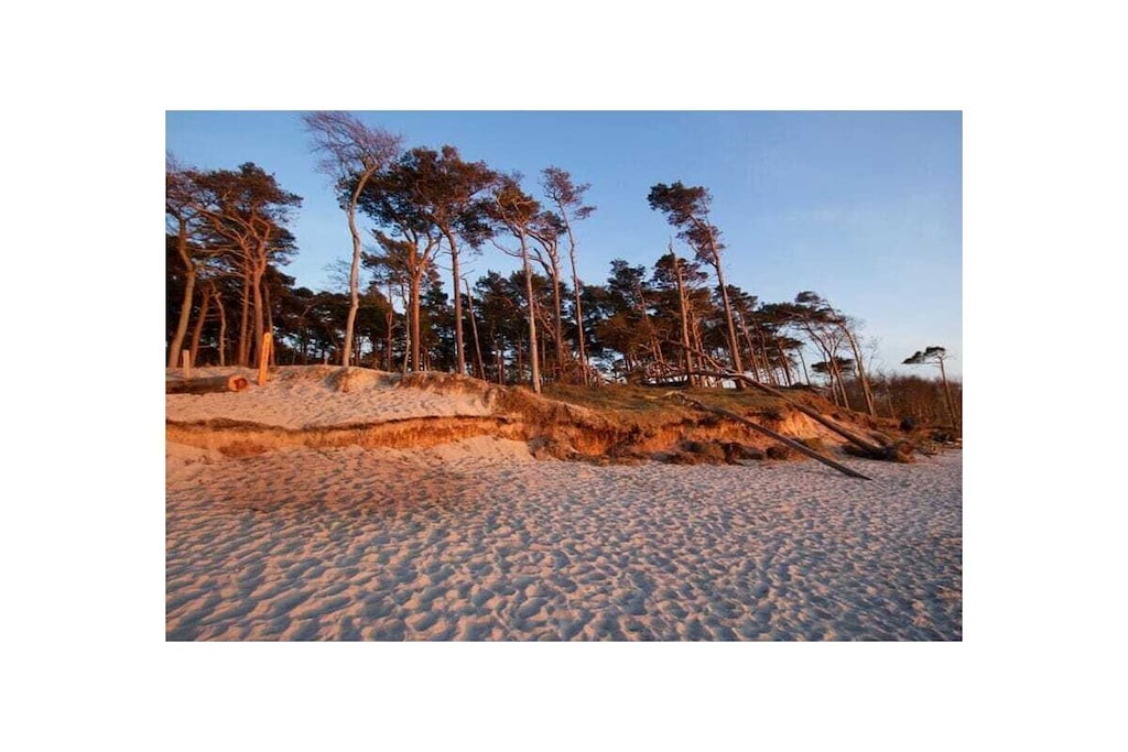 89664 - Niet-getagd