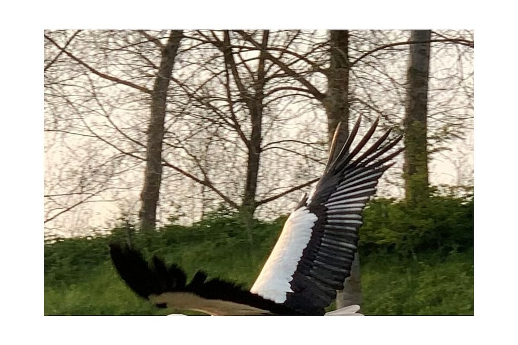 458084 - Niet-getagd