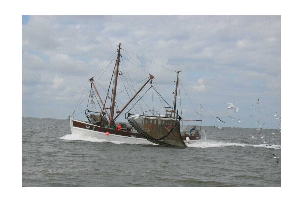 788582 - Niet-getagd