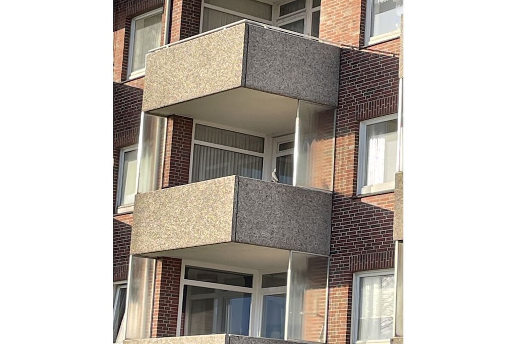 589530 - Niet-getagd