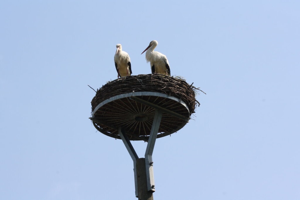 388094 - Niet-getagd
