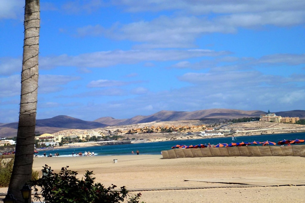 47915 - Niet-getagd