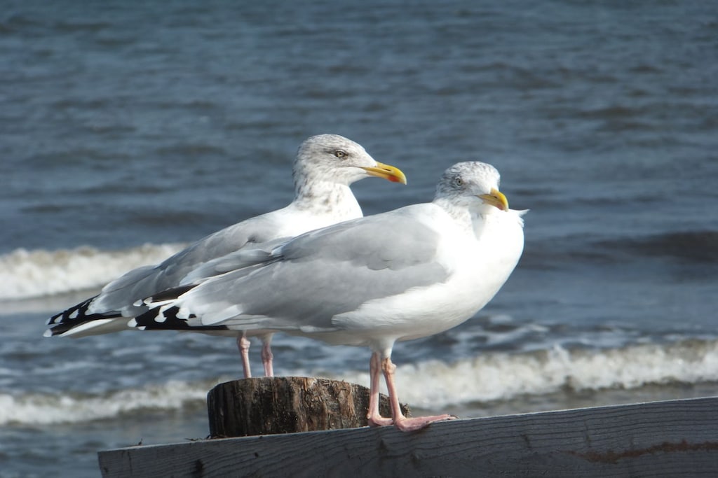 237995 - Niet-getagd