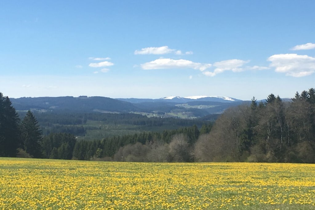 104398 - Nicht zugeordnet