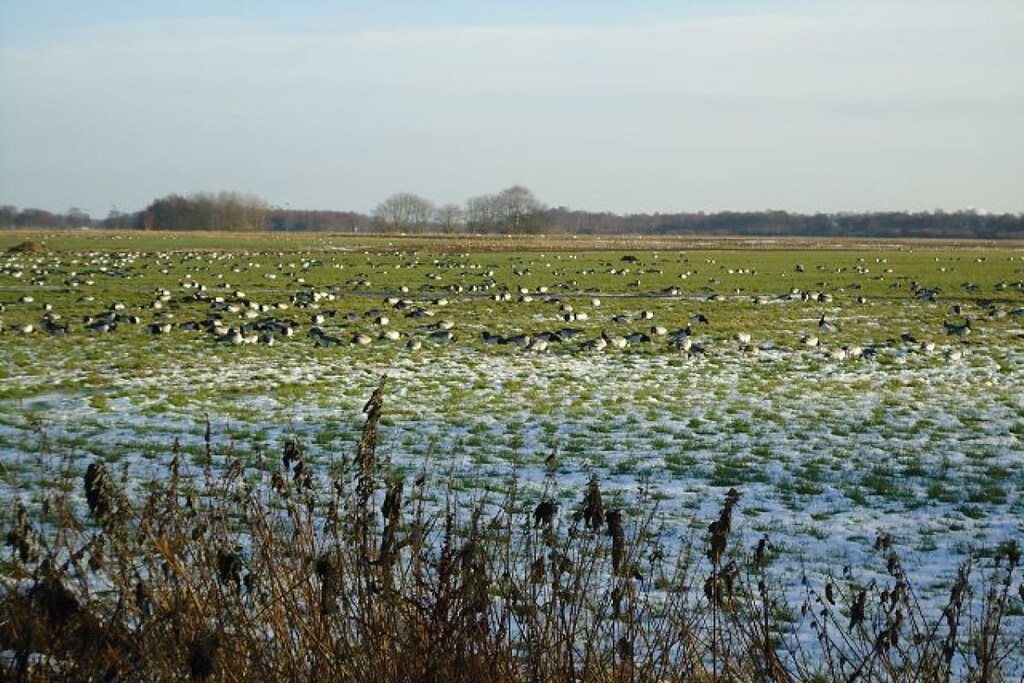 80369 - Niet-getagd