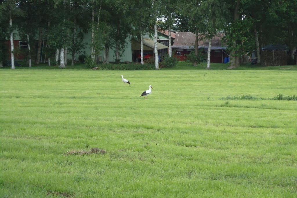 80369 - Niet-getagd