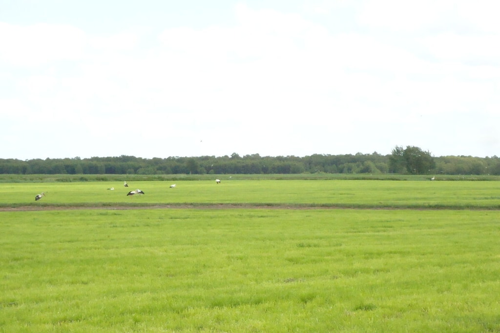 80369 - Niet-getagd