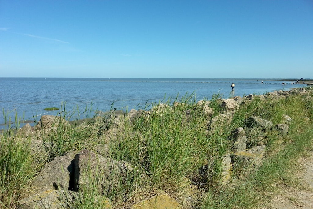293114 - Niet-getagd