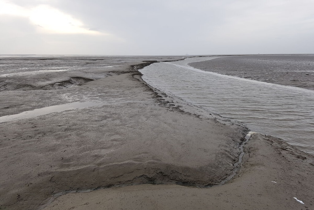 293114 - Niet-getagd