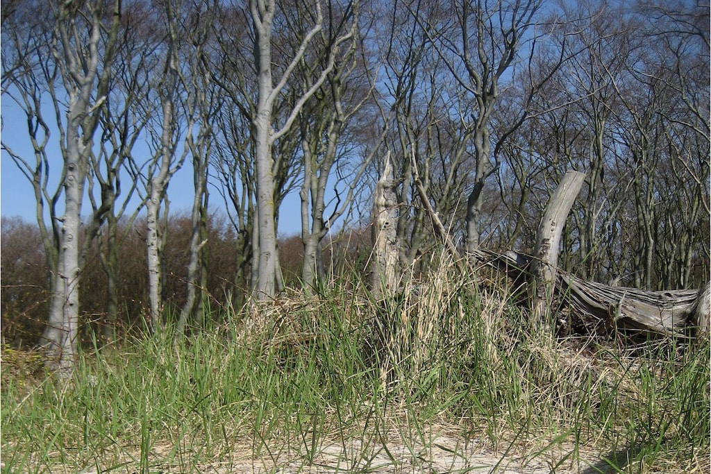 270603 - Niet-getagd