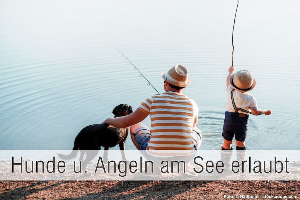 275781 - Niet-getagd