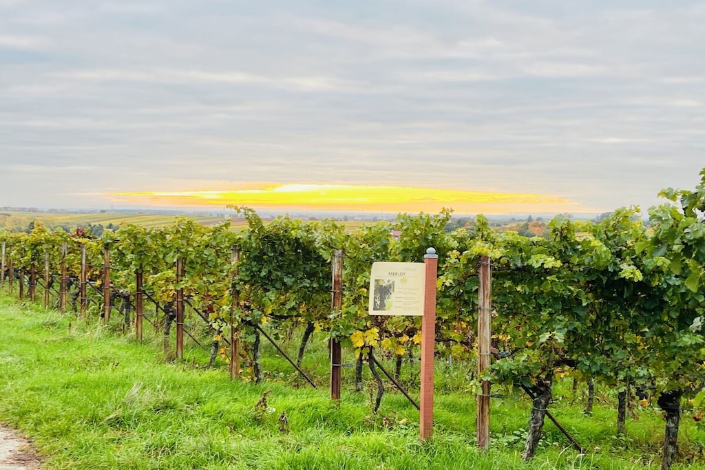 777562 - Niet-getagd