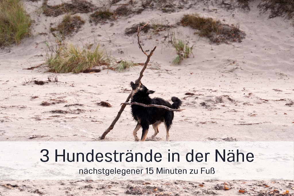 380352 - Nicht zugeordnet