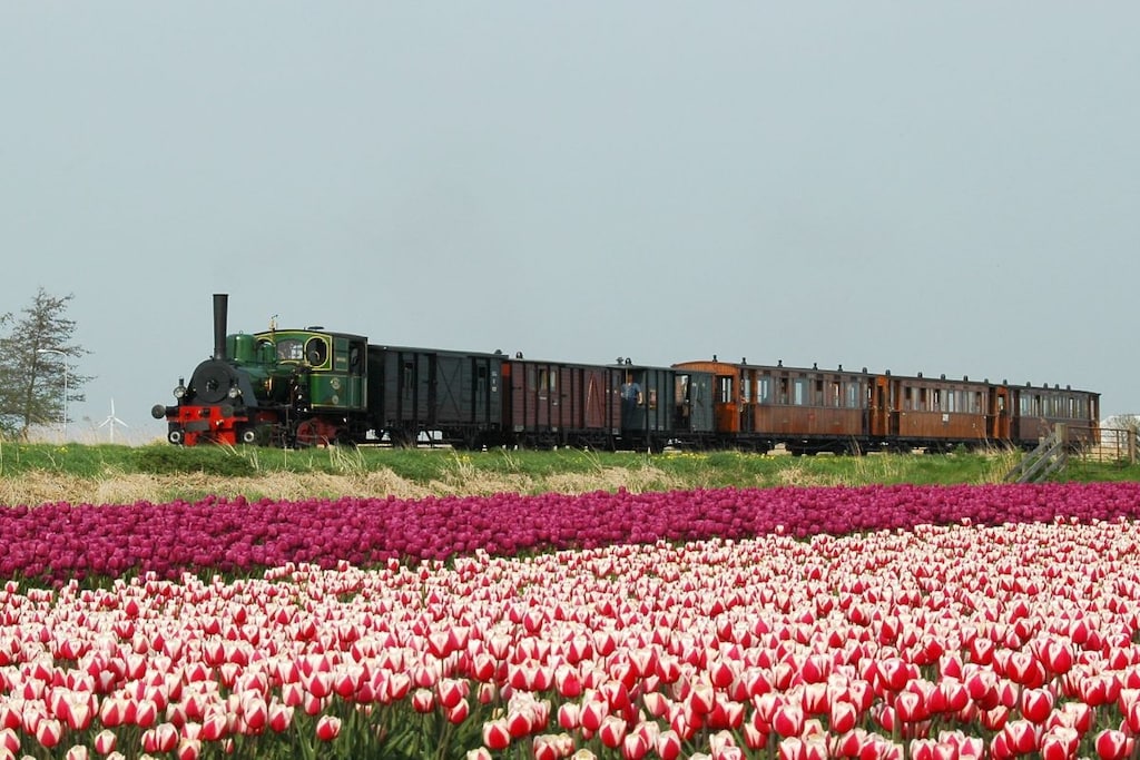 78606 - Niet-getagd