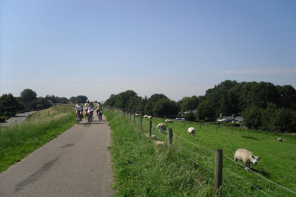 78606 - Niet-getagd