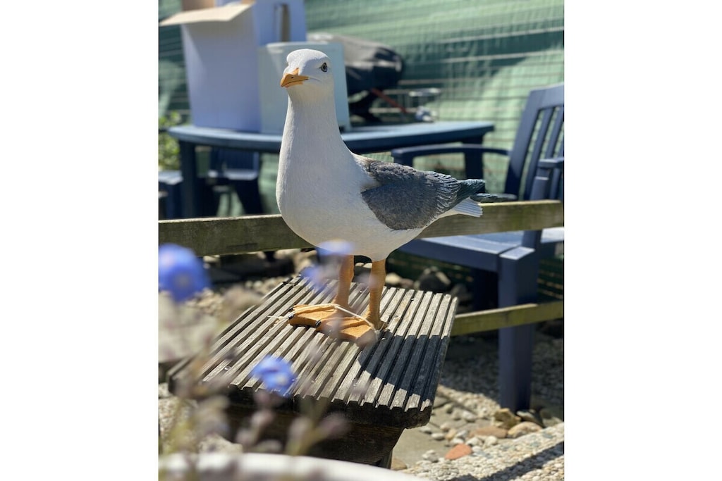 523004 - Niet-getagd