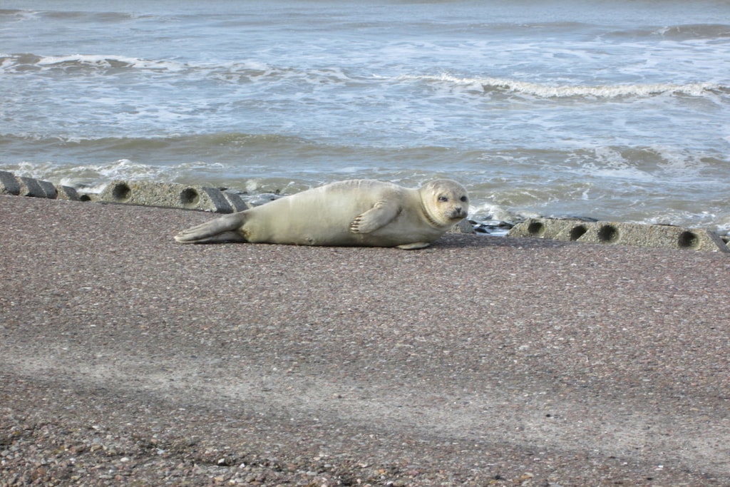 140564 - Niet-getagd